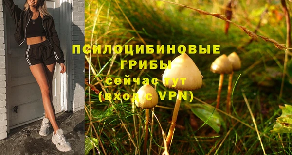 гидропоника Алзамай