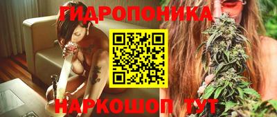 спиды Коммунар