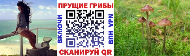 закладка  KRAKEN маркетплейс  Псилоцибиновые грибы мухоморы  Йошкар-Ола 
