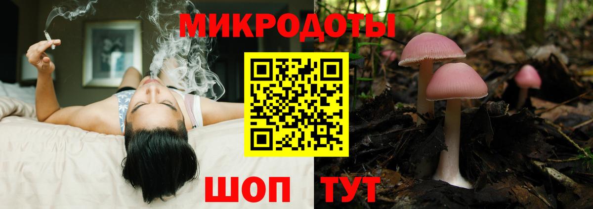 Галлюциногенные грибы Psilocybine cubensis  Вход с VPN  Йошкар-Ола  Псилоцибиновые грибы Cubensis 