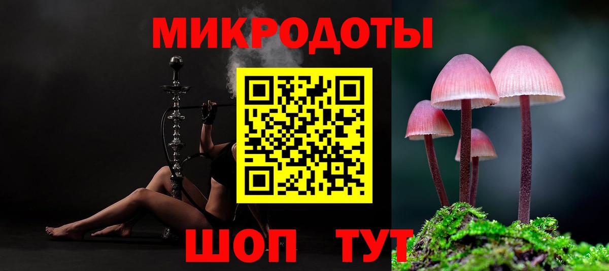 Псилоцибиновые грибы Psilocybine cubensis Йошкар-Ола