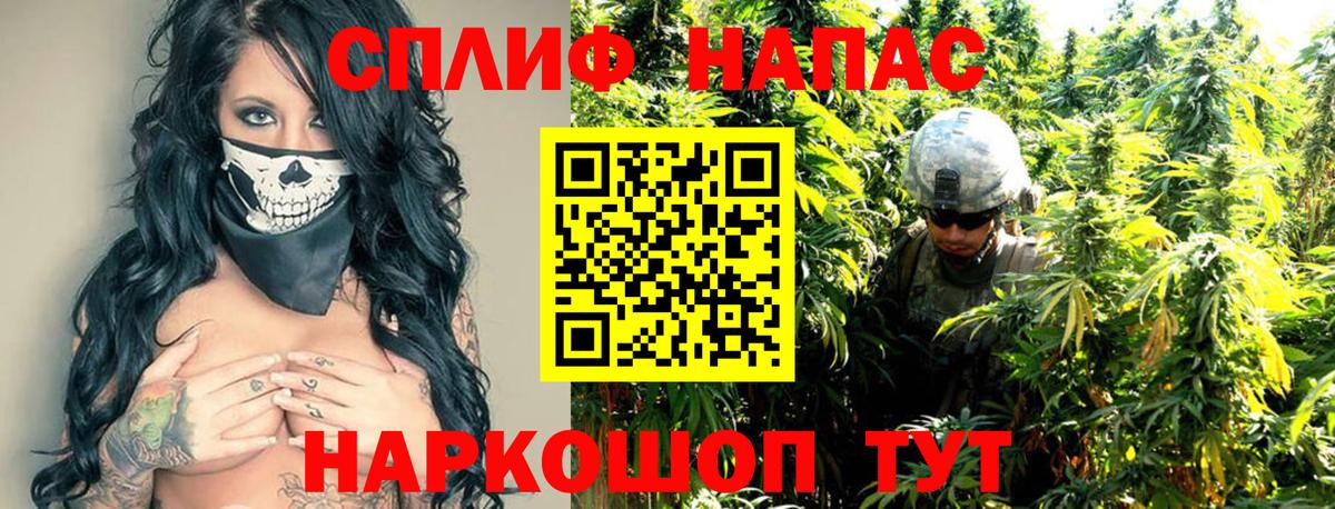 Бошки Шишки марихуана Йошкар-Ола